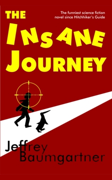 The Insane Journey book cover
