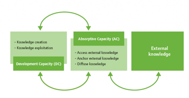 adoption capactity digramme